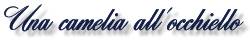 Una camelia all'occhiello