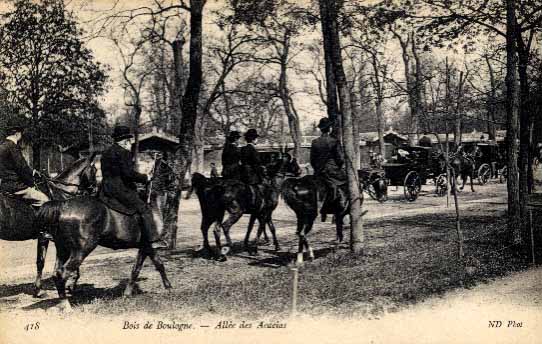 il viale delle acace