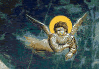 angelo